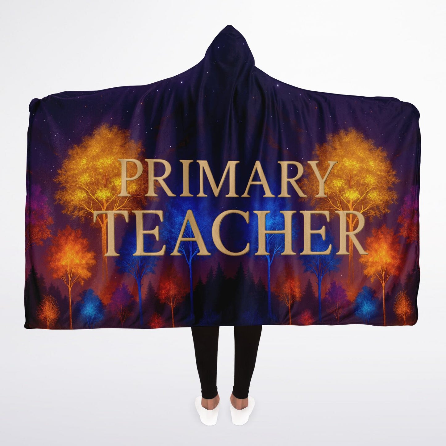 Primary Teacher