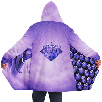 Elephant and the blind men