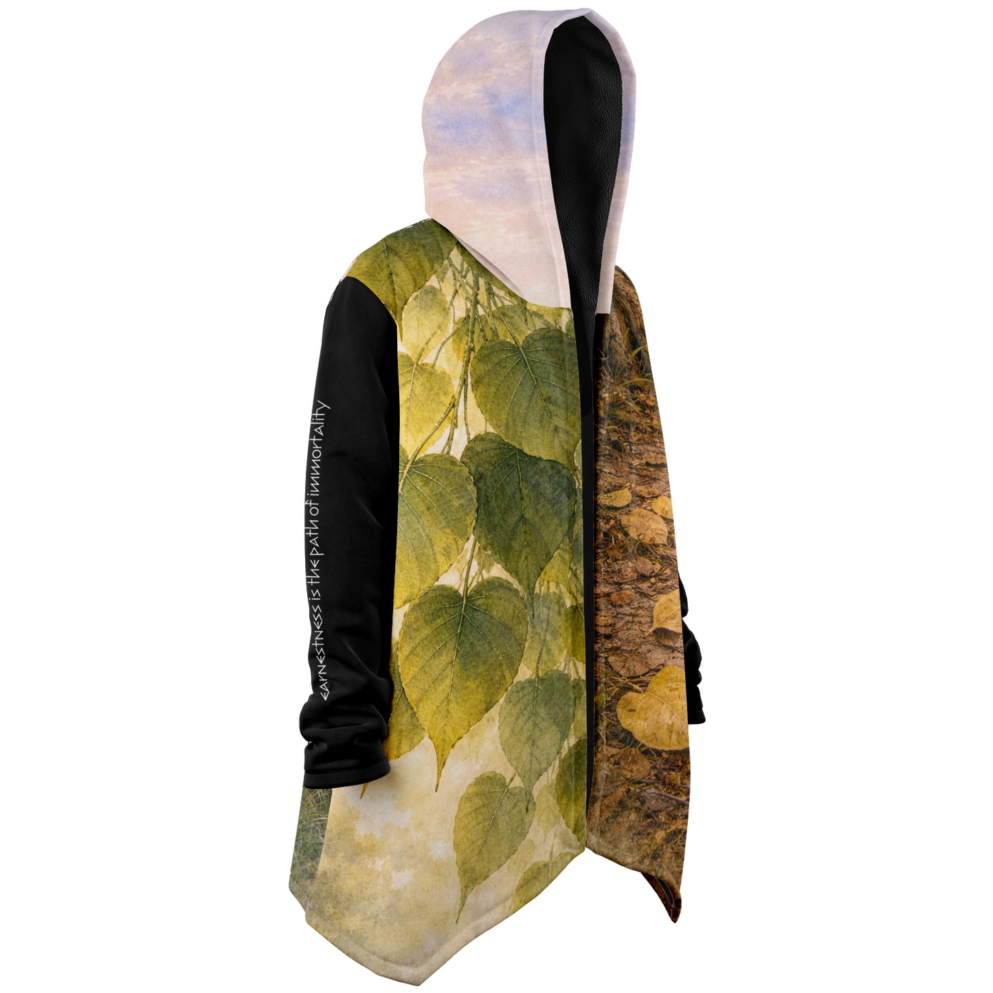 Earnestness is the path