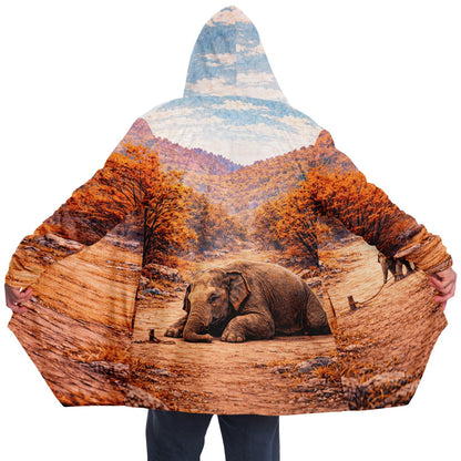 Elephant and the rope