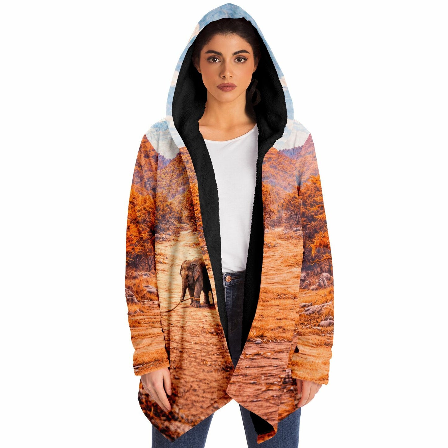 Elephant and the rope