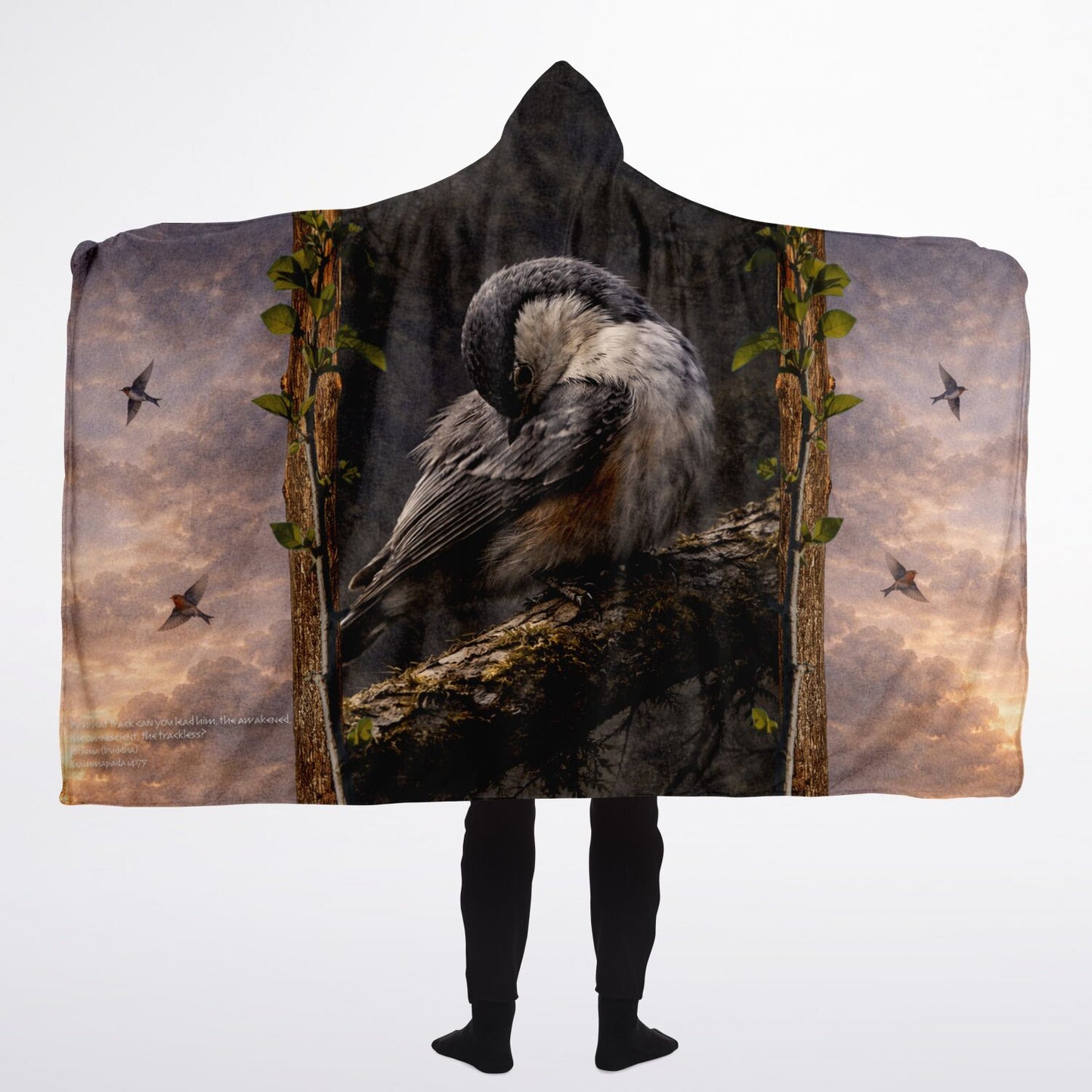 By what track - Sherpa